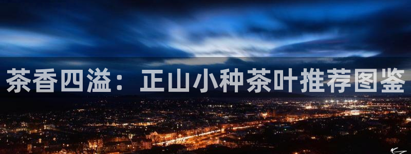 鸿运国际体育平台