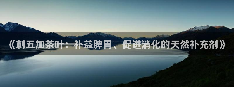 鸿运国际平台国