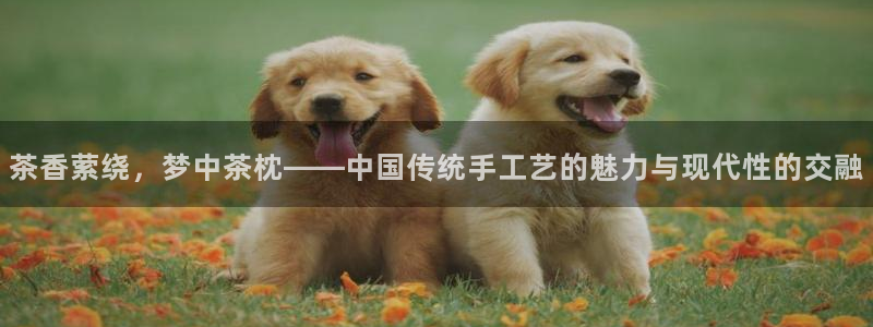 鸿运平台兼职可靠吗