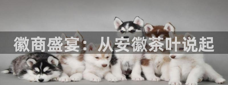 鸿运合拍是什么平台