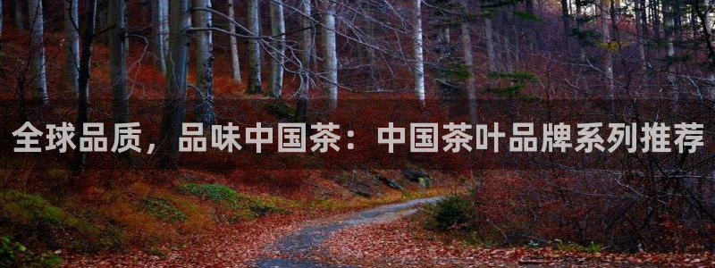 鸿运官网平台登录