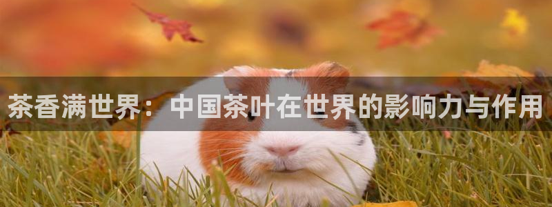 鸿运平台兼职招聘