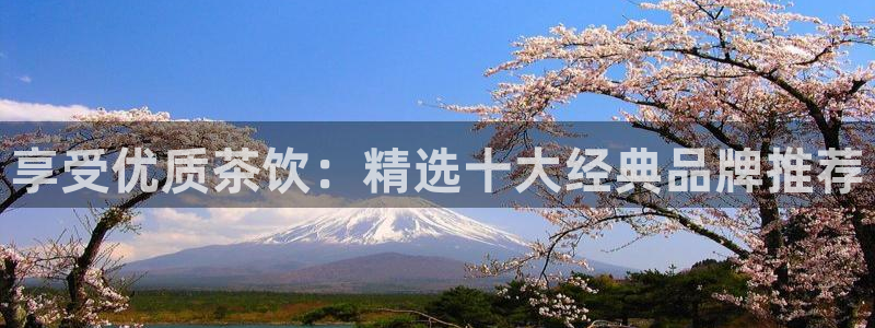 鸿运锦囊是什么平台