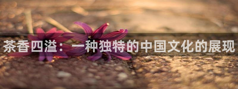 鸿运投注网平台