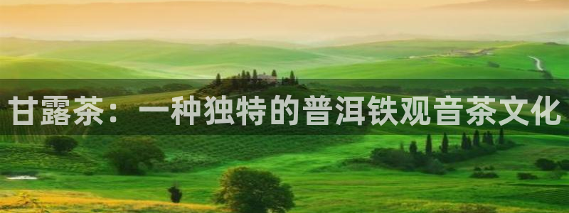 鸿运国际赌场平台