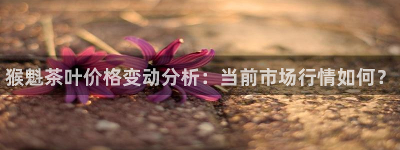 琥珀鸿运是怎样的平台