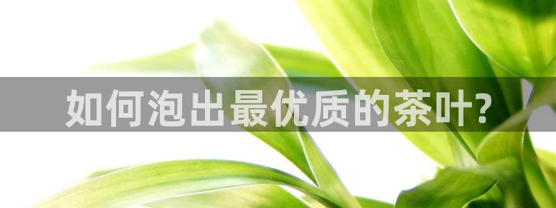 鸿运彩票平台登录不了