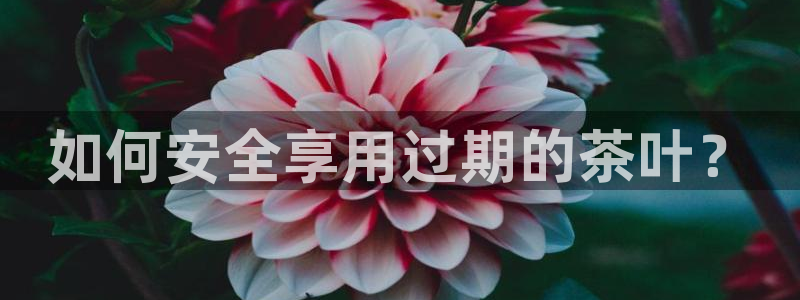 鸿运彩票黑平台