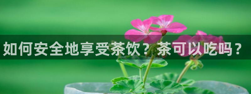 鸿运平台进入官网