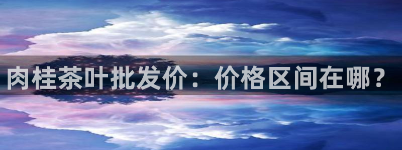 鸿运服务平台是什么