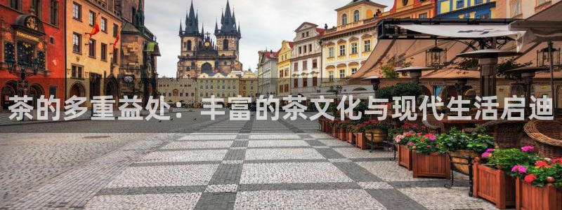 鸿运国际娱乐平台