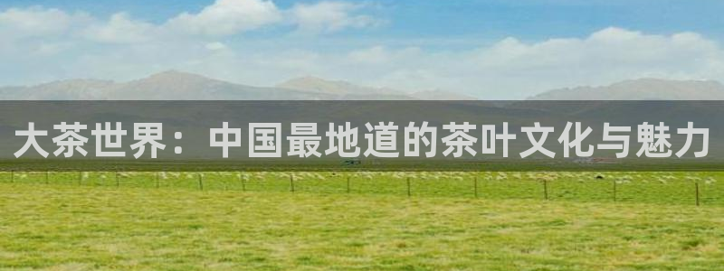 鸿运通借款平台