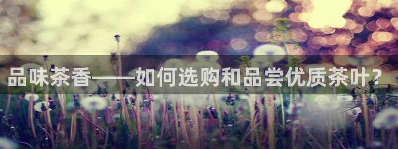 鸿运直播平台黄