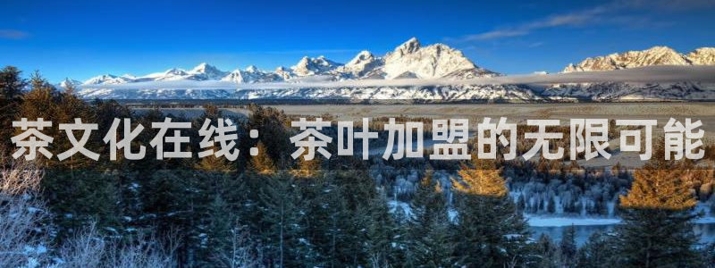 鸿运平台代理鸿运