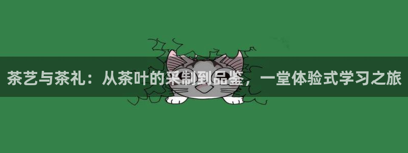 鸿运平台代理理