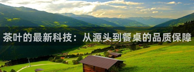 鸿运彩票平台官网