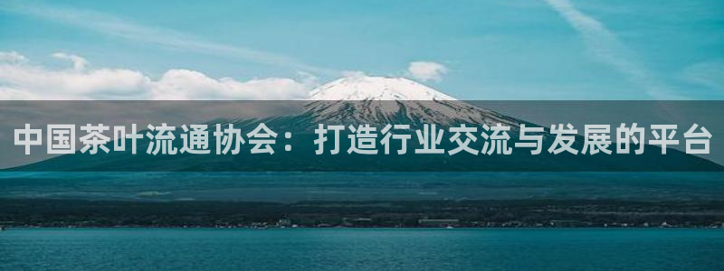 鸿运app是什么平台