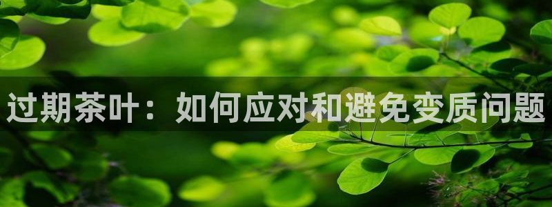 鸿运牛蹄团购平台