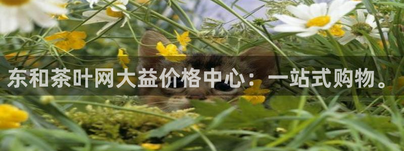 鸿运平台诈骗电话