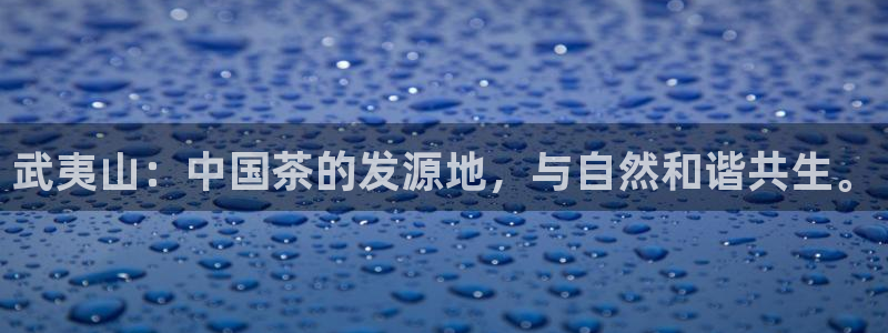 鸿运通娱乐平台