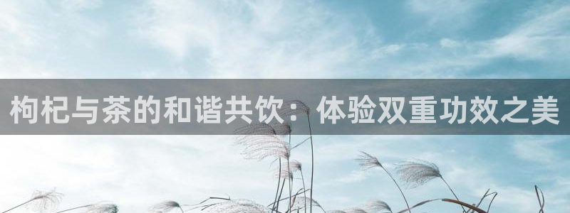 鸿运宝理财平台