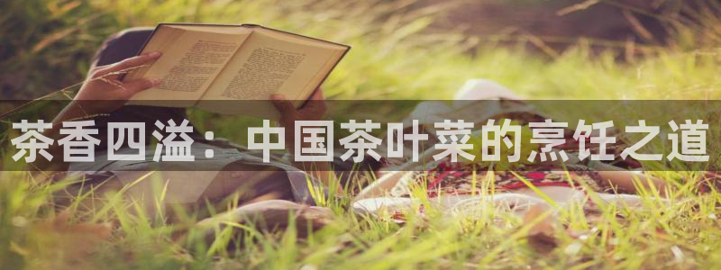 鸿运体育平台网址