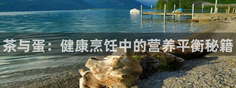 鸿运到游戏平台