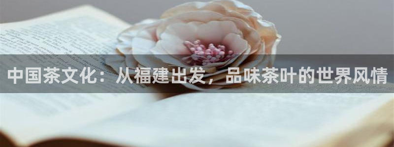 鸿运直播彩票平台