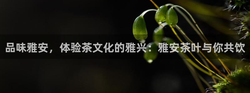 鸿运集团平台招聘要求