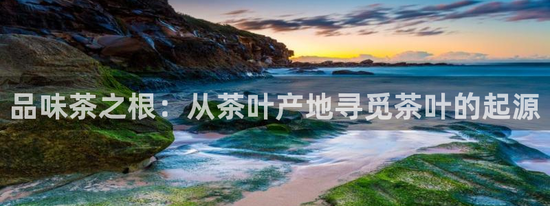 ZJ鸿运平台