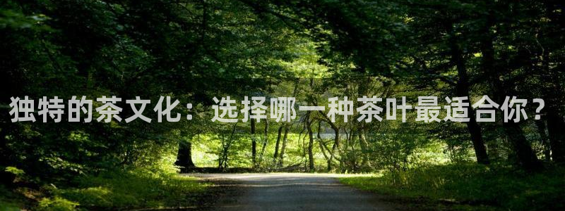 鸿运牛骨服务平台