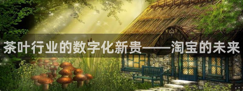 鸿运平台代理平