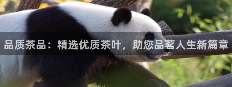 鸿运汽车团购平台