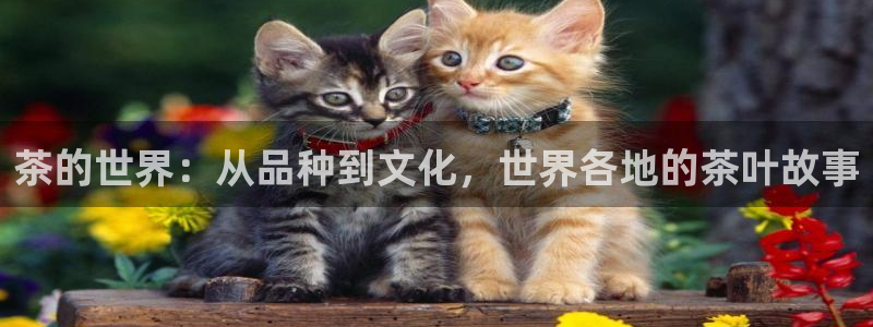 鸿运平台兼职