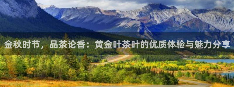 鸿运体育在线平台