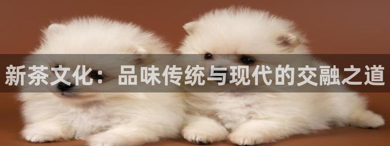 鸿运官网平台登录