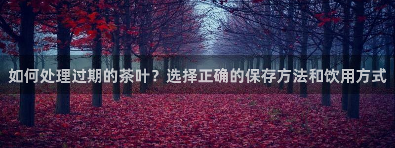 香港鸿运投资平台