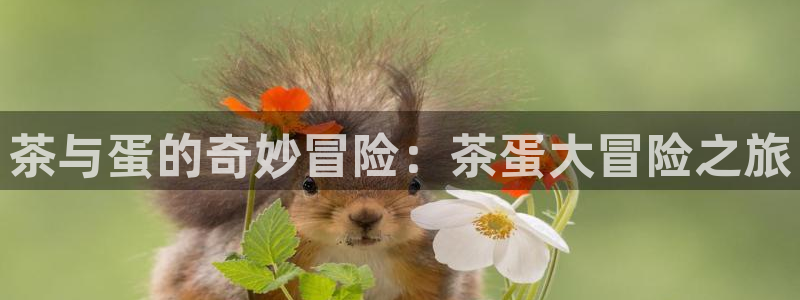 鸿运28投注平台