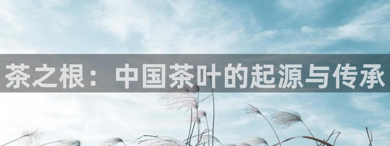 鸿运通平台可靠吗