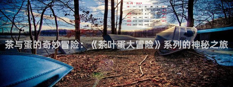 鸿运平台骗局曝光案例