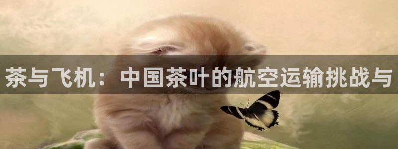 鸿运直播彩票平台