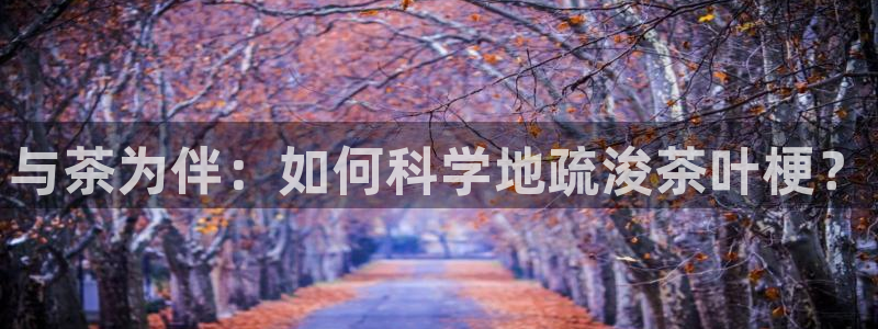 鸿运农场直播平台