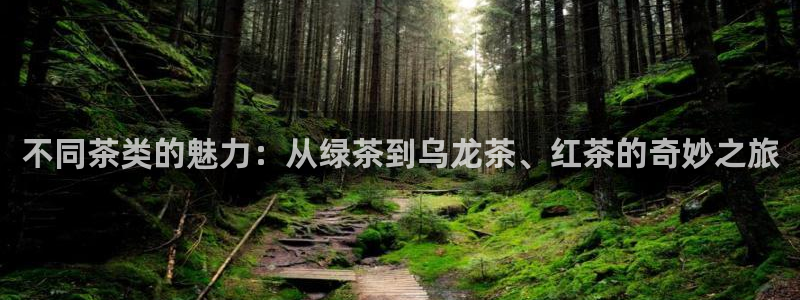 鸿运挖矿平台注册