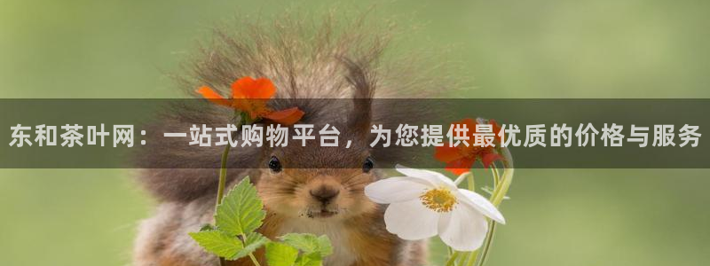 双平台鸿运当头
