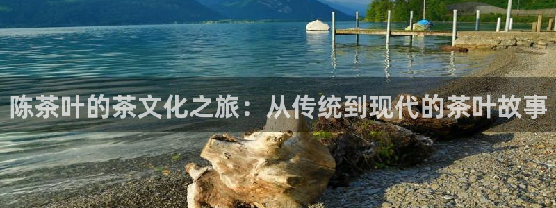 鸿运权威彩票平台