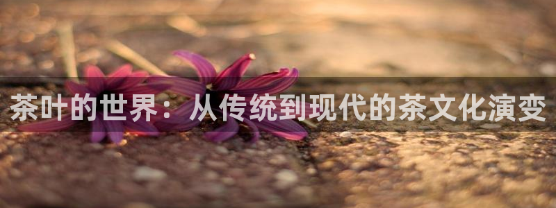 鸿运平台被骗事件