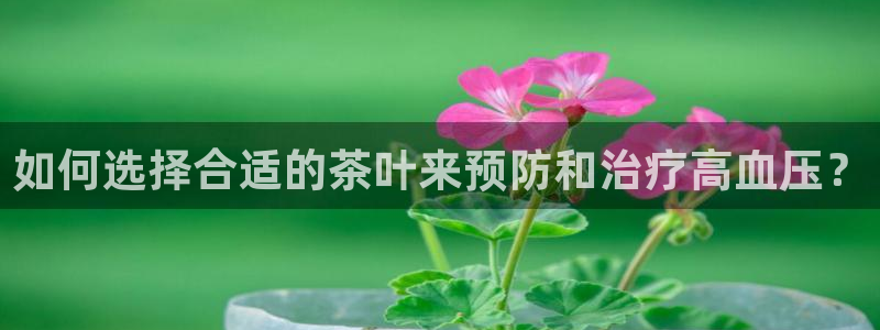 琥珀鸿运彩票平台靠谱吗