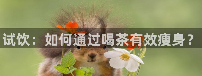 鸿运游戏直播平台