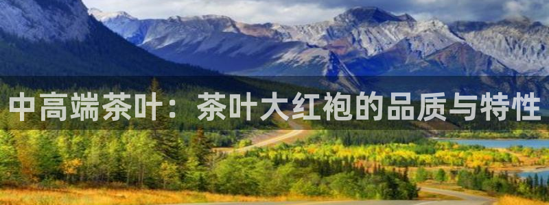 鸿运网平台