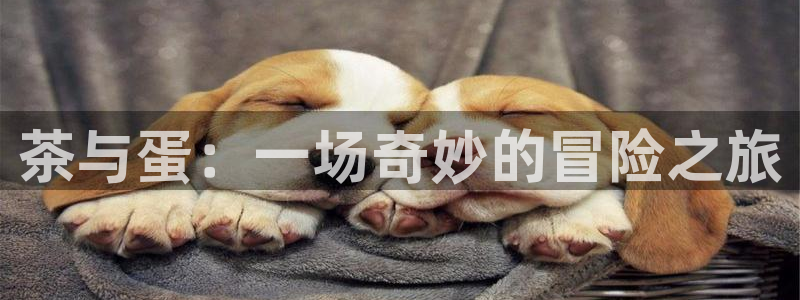 鸿运直接平台